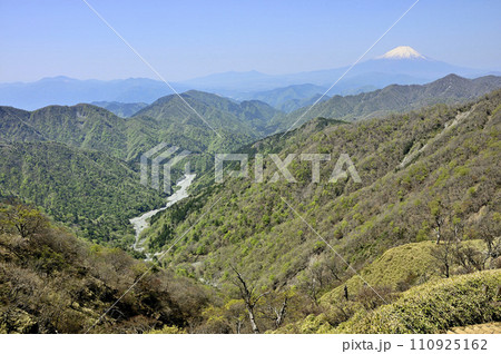 丹沢山地の丹沢山より新緑の山地と富士山 丹沢山地の丹沢山より新緑の山地と富士山 110925162