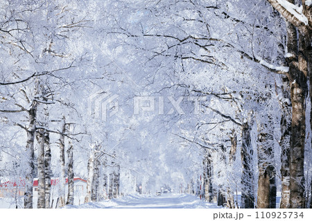 霧氷の並木道 110925734