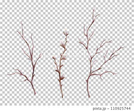 Watercolor illustration willow branches and tree branch without leaves. Brown dry straight twig. Isolated on a white background. Spring floral easter elements. For holiday print design 110925744