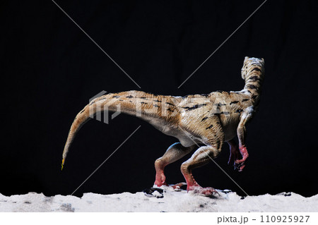 Velociraptor dinosaur in the dark Velociraptor dinosaur in the dark 110925927