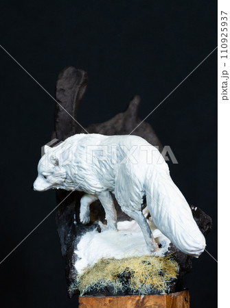 Arctic Fox in the dark Arctic Fox in the dark 110925937