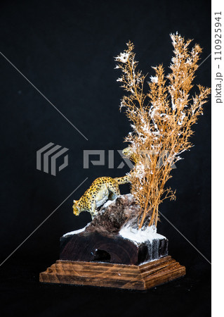 Snow Leopard in the dark Snow Leopard in the dark 110925941