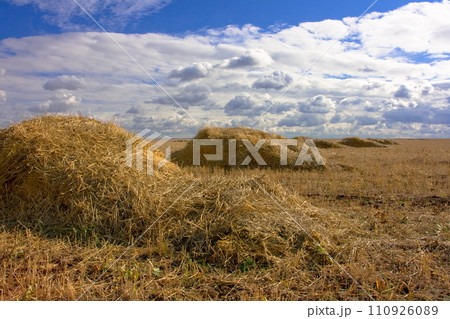 Beautiful landscape park. Tourism, hobby. Hay in stacks and blue sky. Beautiful landscape park. Tourism, hobby. Hay in stacks and blue sky. 110926089