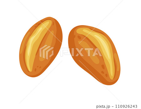 Bread rolls for brunch in germany or sunday buns.Vector illustration 110926243