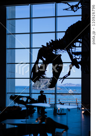 長崎の野母崎に巨大な恐竜の博物館 長崎の野母崎に巨大な恐竜の博物館 110926796