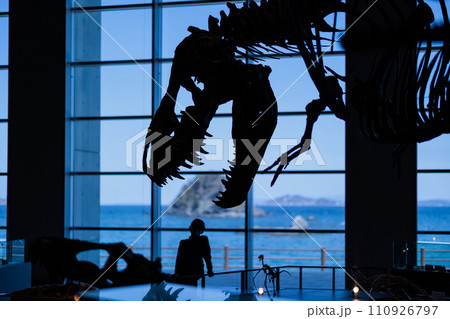 長崎の野母崎に巨大な恐竜の博物館 110926797
