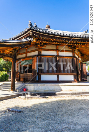 奈良県生駒郡斑鳩町の法隆寺 西円堂(国宝) 峯の薬師 奈良県生駒郡斑鳩町の法隆寺 西円堂(国宝) 峯の薬師 110926947