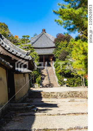 奈良県生駒郡斑鳩町の法隆寺　西円堂（国宝）　峯の薬師 110926953