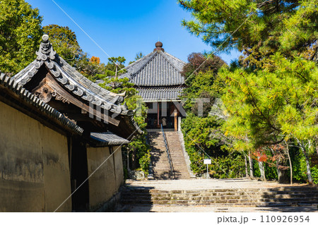 奈良県生駒郡斑鳩町の法隆寺 西円堂(国宝) 峯の薬師 奈良県生駒郡斑鳩町の法隆寺 西円堂(国宝) 峯の薬師 110926954