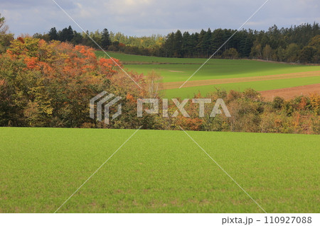 北海道の美瑛と富良野の風景 北海道の美瑛と富良野の風景 110927088