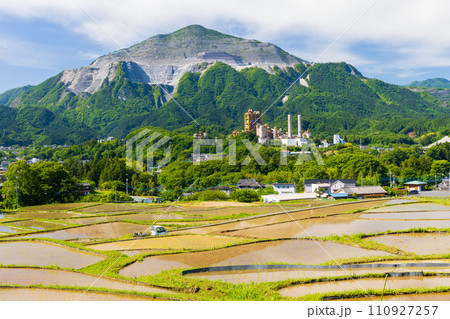 埼玉県横瀬町の初夏　田植え期の寺坂棚田と武甲山 110927257