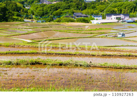 埼玉県横瀬町の初夏　田植え期の寺坂棚田 110927263