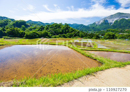 埼玉県横瀬町の初夏　田植え期の寺坂棚田 110927270