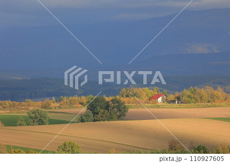 北海道美瑛の風景 110927605