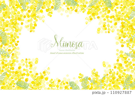ミモザの花と葉っぱのベクターイラストフレーム 110927887