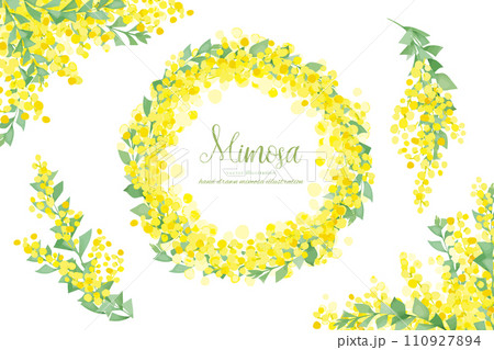 水彩手書きの三角葉アカシアのフレーム素材 110927894