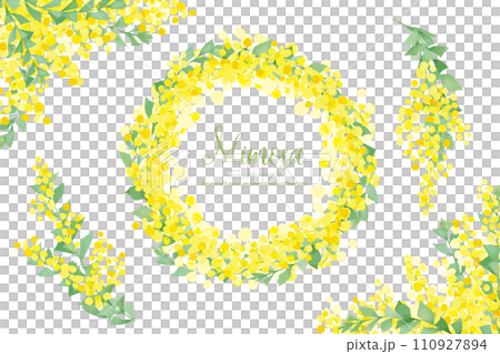 水彩手書きの三角葉アカシアのフレーム素材 110927894