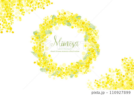 黄色いミモザの花のフレーム 110927899