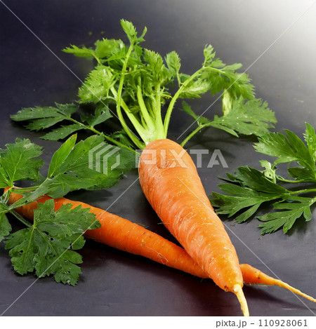 ニンジン「AI生成画像」 ニンジン「AI生成画像」 110928061