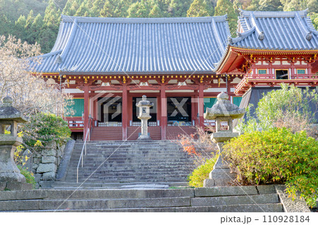 奈良県大和郡山市矢田町の矢田寺(あじさい寺) 本堂(有形文化財) 奈良県大和郡山市矢田町の矢田寺(あじさい寺) 本堂(有形文化財) 110928184