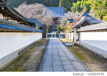 奈良県大和郡山市矢田町の矢田寺(あじさい寺) 本堂(有形文化財) 奈良県大和郡山市矢田町の矢田寺(あじさい寺) 本堂(有形文化財) 110928192