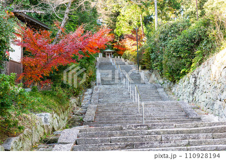 奈良県大和郡山市矢田町の矢田寺（あじさい寺）　参道 110928194