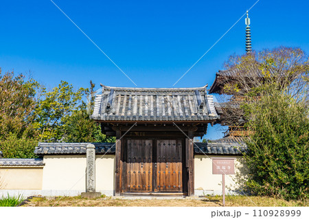 奈良県生駒郡斑鳩町の法起寺 南大門 奈良県生駒郡斑鳩町の法起寺 南大門 110928999