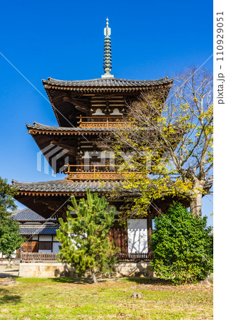 奈良県生駒郡斑鳩町の法起寺 三重塔(国宝)日本最古 奈良県生駒郡斑鳩町の法起寺 三重塔(国宝)日本最古 110929051