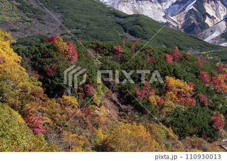 十勝岳の紅葉 十勝岳の紅葉 110930013