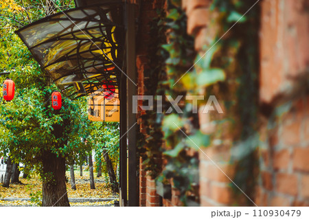 foliage on a brick building 110930479