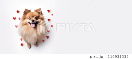 AI-generated content. Happy cute small dog with red hearts on white background celebrating Valentine day. Valentine's day, birthday, mother's, women's day, holidays concept. 110931333