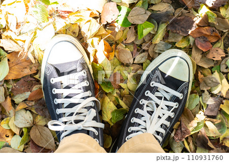 足元　落ち葉 110931760