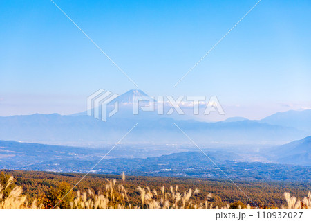 富士見高原の紅葉 (10月) 110932027