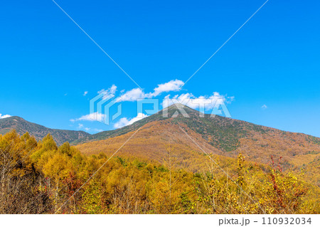 富士見高原の紅葉 (10月) 110932034