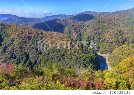 京都高尾パークウエイの紅葉 (11月　晴れ) 110932138