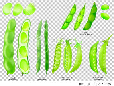 水彩畫毛豆等豆類插畫素材集 110932820