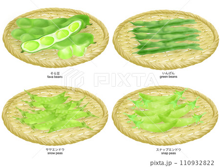 ザルにのったそら豆、インゲン豆、スナップエンドウ、サヤエンドウのイラスト ザルにのったそら豆、インゲン豆、スナップエンドウ、サヤエンドウのイラスト 110932822