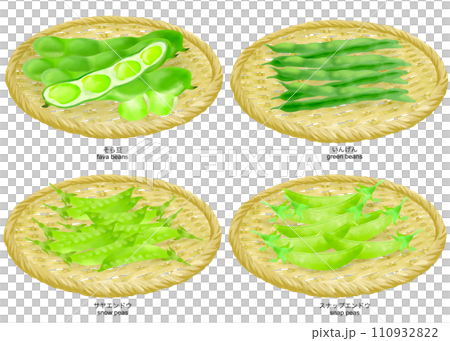 ザルにのったそら豆、インゲン豆、スナップエンドウ、サヤエンドウのイラスト ザルにのったそら豆、インゲン豆、スナップエンドウ、サヤエンドウのイラスト 110932822