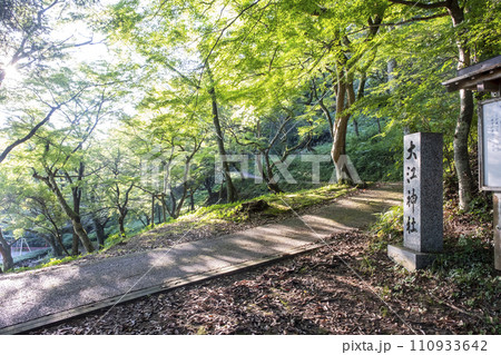 新緑の散歩道（打吹公園） 110933642