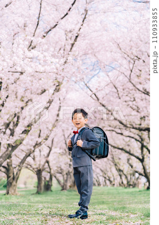 桜と新小学1年生 桜と新小学1年生 110933855