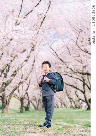 桜と新小学1年生 110933856
