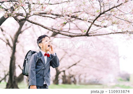 桜と新小学1年生 110933874