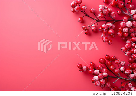 赤い実の上品な背景、コピースペースありの12月、1,月、2月のイメージ背景 110934203