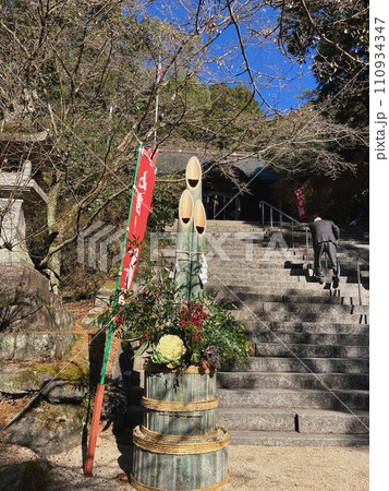神社の境内にある大きな木 110934347