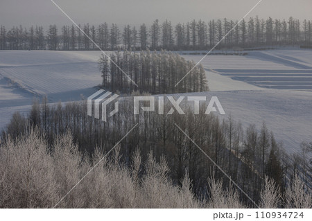 冬の美瑛風景 冬の美瑛風景 110934724