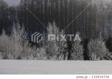 冬の美瑛風景 冬の美瑛風景 110934726