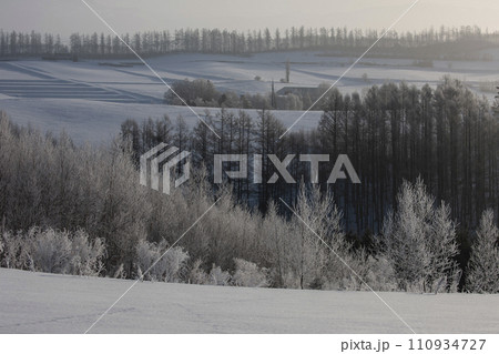 冬の美瑛風景 冬の美瑛風景 110934727