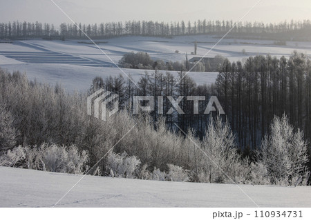 冬の美瑛風景 110934731