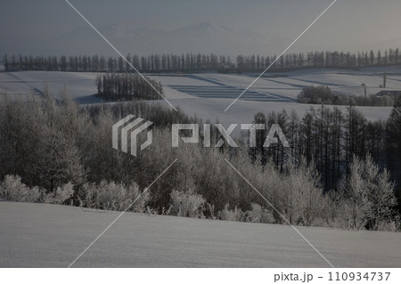 冬の美瑛風景 110934737