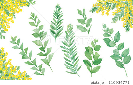 三種類のミモザの葉とコーナー飾りのセット 110934771